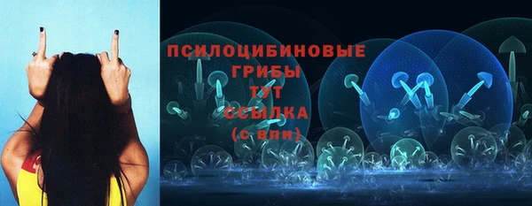 соль ск Россошь