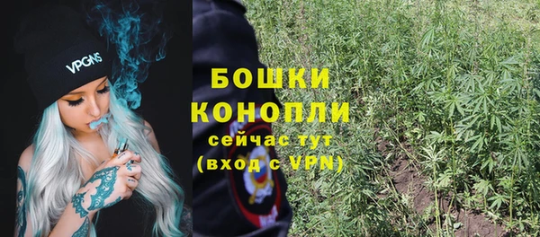 ГАЛЛЮЦИНОГЕННЫЕ ГРИБЫ Волосово