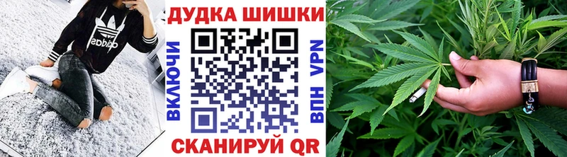 МАРИХУАНА сатива  Подпорожье 